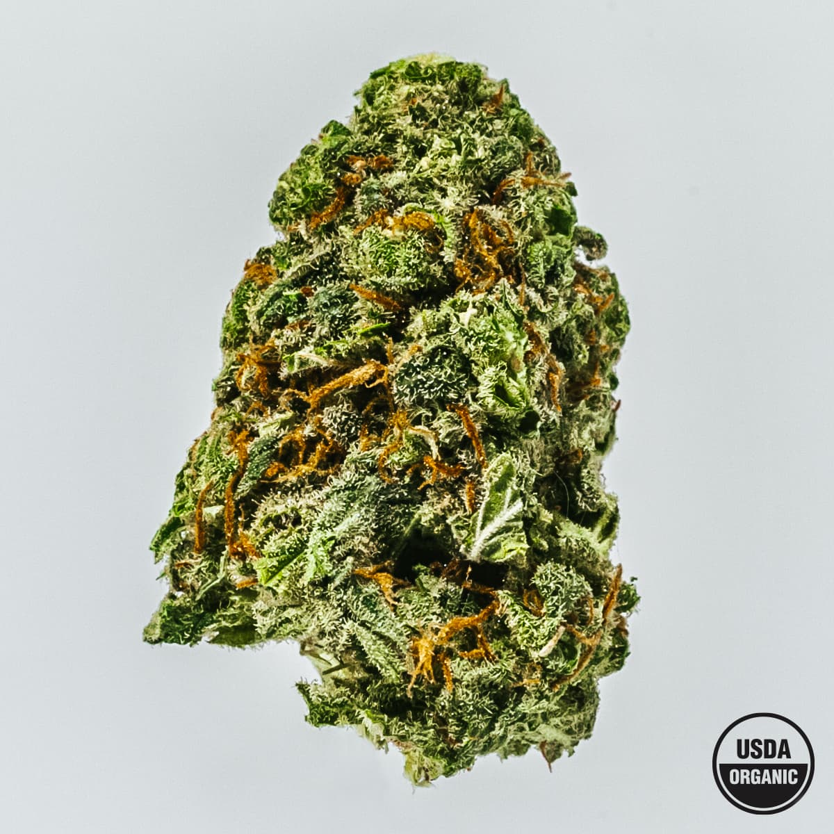 Candy Jack